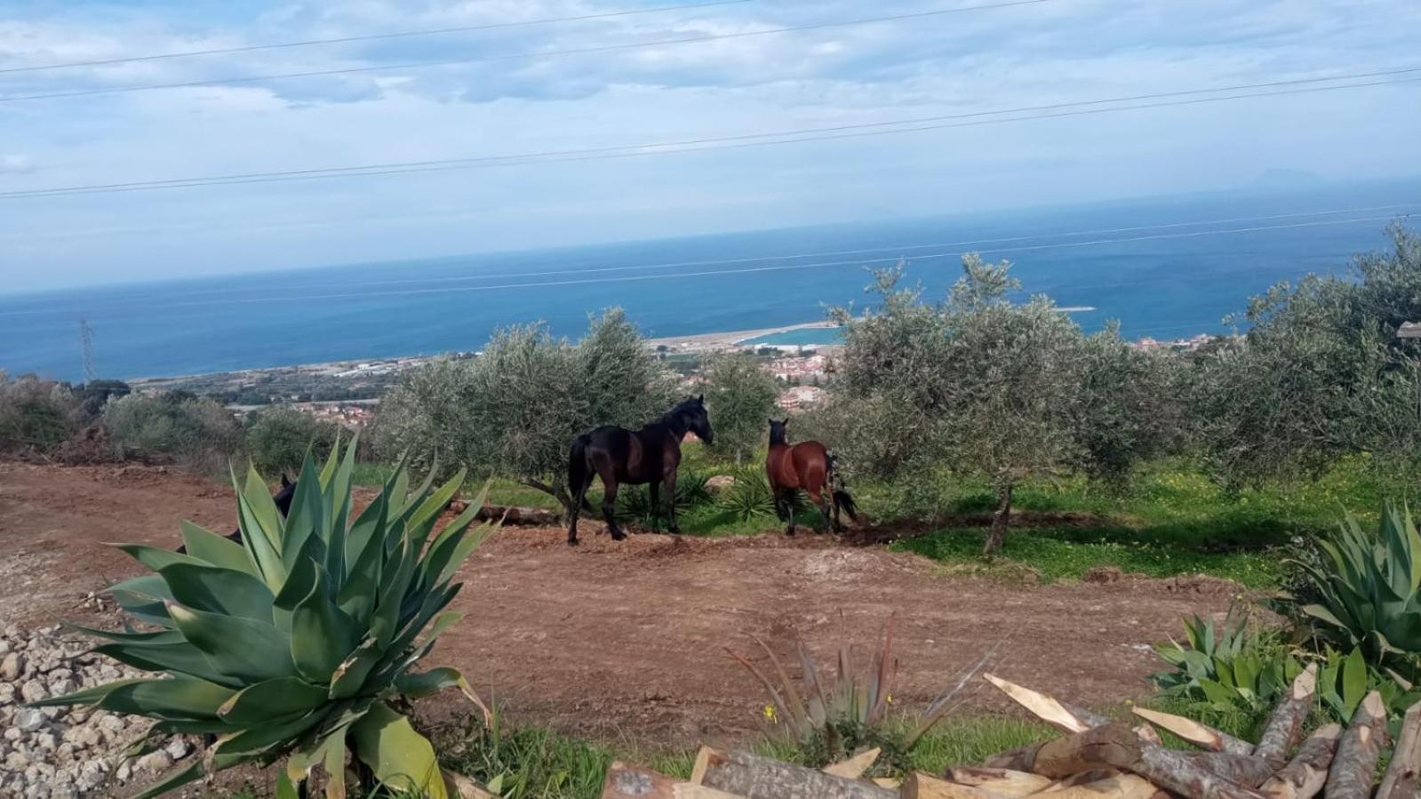 Agriturismo Serre SantʼAgata di Militello Εξωτερικό φωτογραφία